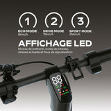 Electric Scooter Urbanglide-11