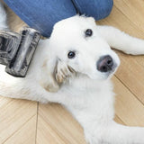 vacuum cleaner Hkoenig Black-1