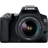 Reflex camera Canon EOS 250D + EF-S 18-55mm f/3.5-5.6 III-7