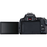 Reflex camera Canon EOS 250D + EF-S 18-55mm f/3.5-5.6 III-5