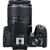 Reflex camera Canon EOS 250D + EF-S 18-55mm f/3.5-5.6 III-3