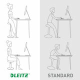 Ergonomic Stool Leitz Ergo Cosy Active Plastic-3