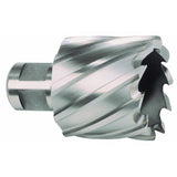 Hollow drill bit RUKO 51 mm Weldon-1