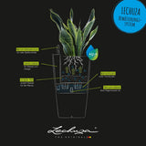 Plant pot Lechuza 13158 40 x 40 x 75 cm Board polypropylene Plastic Bucket-6