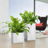 Self-watering flowerpot Lechuza White 40 x 40 x 76 cm-1