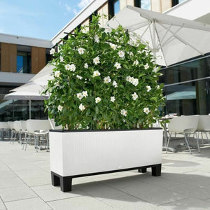 Plant pot Lechuza 32 x 100 x 34 cm White Plastic Rectangular-0