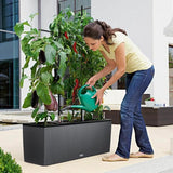 Plant pot Lechuza 100 x 32 x 34 cm Plastic Rectangular-1