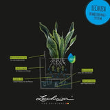 Plant pot Lechuza 50 x 50 cm-2