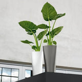 Plant pot Lechuza 40 x 40 x 76 cm Plastic-2