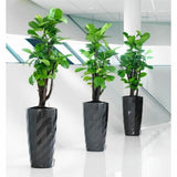 Plant pot Lechuza Grey Plastic (1 Unit)-4