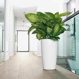 Plant pot Lechuza 40 x 40 x 75 cm Plastic-4