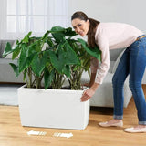 Plant pot Lechuza Plastic Rectangular-2