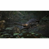 PlayStation 5 Video Game Just For Games-4