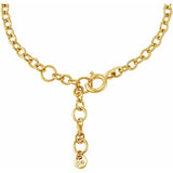 Ladies' Bracelet Michael Kors PREMIUM Gold-1