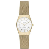 Ladies' Watch Skagen GRENEN LILLE SOLAR (Ø 26 mm)-0