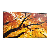 Videowall Monitor Sharp 60006053 4K Ultra HD 42,5"-10