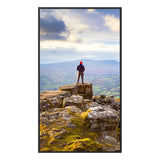 Videowall Monitor Sharp 60006181 4K Ultra HD 43"-1