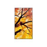 Videowall Monitor Sharp 60006052 Full HD 32"-4