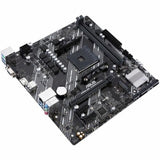 Motherboard Asus AMD A520 AMD AM4-34