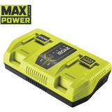 Battery charger Ryobi-1