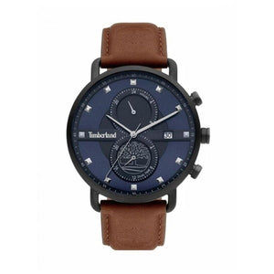 Men's Watch Timberland TDWGF2101003-0