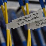 Thermal Printer Brother PTE920BTZ1 Black Orange-3