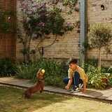 Smart Sensor for Doors and Windows Yale AL-EDC-1A-G Wall mounting-3