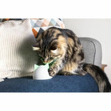 Multiroom Hub Craftenwood iHBWT-6