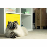 Multiroom Hub Craftenwood iHBWT-5