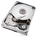 Hard Drive Seagate ST12000NT001 3,5"-1
