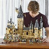 Construction set Lego 71043-21