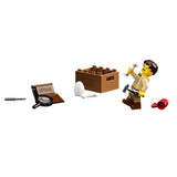 Construction set Lego 21320-10