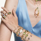 Swarovski Jewels Bijoux 5746904