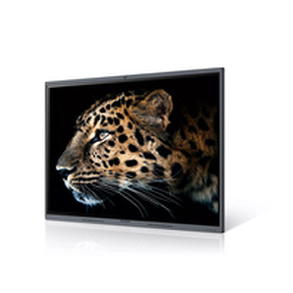 Videowall Monitor Maxhub C7530 4K Ultra HD 75