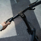 Electric Bike Xiaomi 20" 250W Black-5