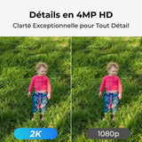 Surveillance Camcorder Reolink-4