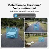 Surveillance Camcorder Reolink-2