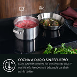 Induction Hot Plate AEG-1