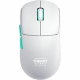 Wireless Mouse Cherry-15