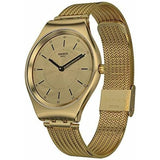 Men's Watch Swatch SYXG102M-4