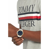 Men's Watch Tommy Hilfiger 1792031 Silver-4