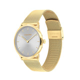 Ladies' Watch Calvin Klein 25300003-4