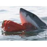 Tool Case GT Line EXPLORER 5822 65 x 51 x 24,2 cm polypropylene 59 L-1