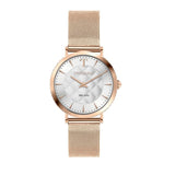 Ladies' Watch Trussardi R2453140503-0