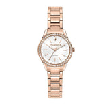 Ladies' Watch Trussardi R2453151503-0