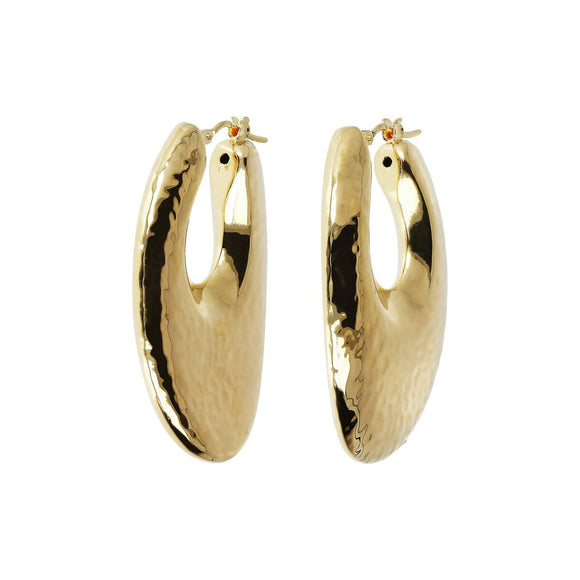 Ladies' Earrings Etrusca WSET00520.YG Golden-0