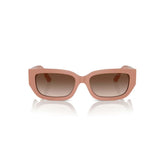 Ladies' Sunglasses Jimmy Choo JC 5017-1