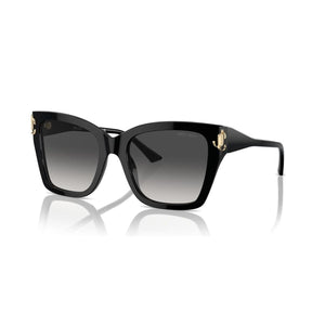 Ladies' Sunglasses Jimmy Choo JC 5012-0