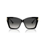 Ladies' Sunglasses Jimmy Choo JC 5012-1