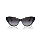 Ladies' Sunglasses Jimmy Choo JC 5004-1